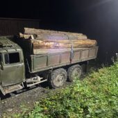 Нелегальна лісопродукція: на Рахівщині вилучили транспортний засіб з деревиною