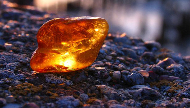Мукачівський підприємець намагався незаконно вивезти понад 110 кілограмів бурштину