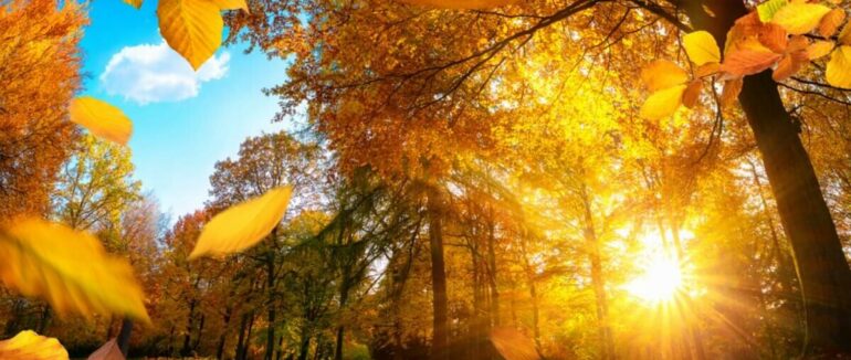 Якою буде погода на Закарпатті найближчими днями