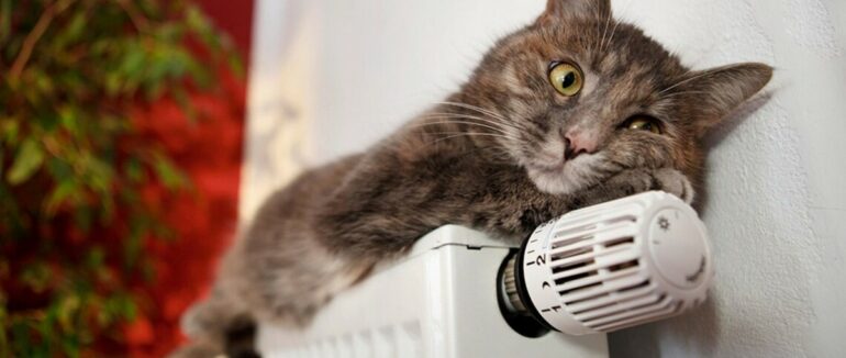 На Закарпатті у більшості громад стартував опалювальний сезон