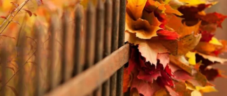 Якою буде погана на Закарпатті цими вихідними