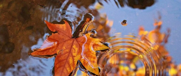 Перші дні листопада: яка буде погода на Закарпатті