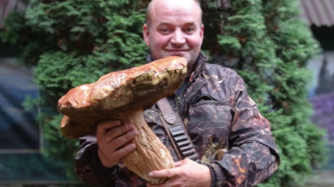Приємна знахідка: закарпатець знайшов гриб-велетень вагою майже 3 кілограми