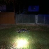 39-річна велосипедистка загинула на місці під колесами авто під Виноградовом