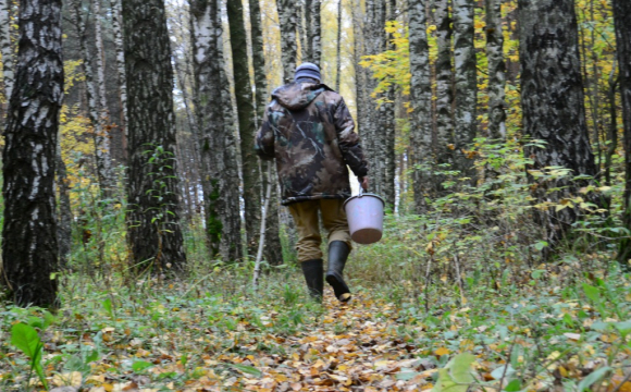 На Закарпатті черговий грибник заблукав у лісі