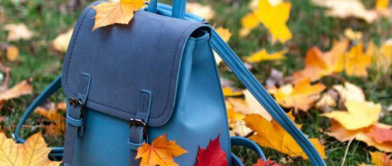 Осінніх канікул у школах Мукачівської ТГ не буде