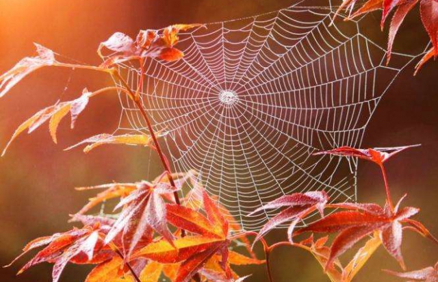 На Закарпатті прогнозують “бабине літо”