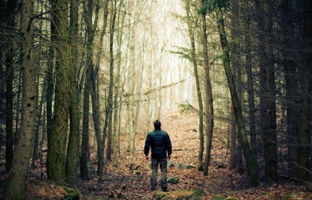 Рятувальники майже добу його шукали: на Закарпатті чоловік самостійно вийшов із лісу