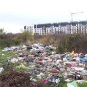 Стихійне сміттєзвалище: у Мукачеві з’явилося “нове місце” викидання непотребу (ВІДЕО)