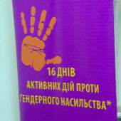 Проти насилля: на Закарпатті зросли випадки знущань над жінками і дітьми (ВІДЕО)