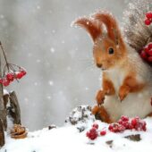 27 листопада: яке народне свято сьогодні відзначають та що не можна робити