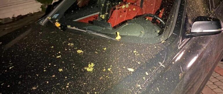 Вилучили зброю та радянську символіку: поліція розкрила замах на умисне вбивство мукачівця (ФОТО, ВІДЕО)