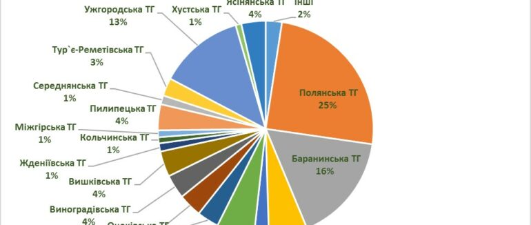 За 10 місяців до бюджетів Закарпаття надійшло понад 17 млн грн туристичного збору