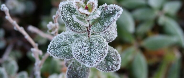 Перші морози: на Закарпатті вже відчутно знизиться температура