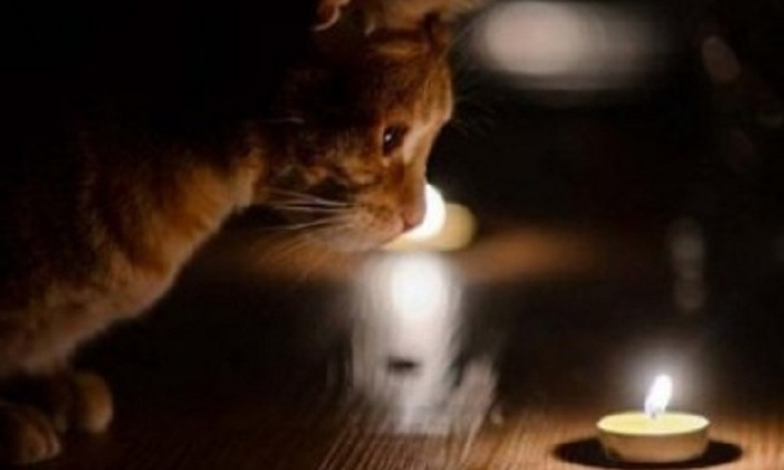 Декілька сіл Виноградівської громади залишаться без електропостачання