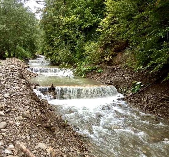 Закарпатські лісівники продовжують дбати про річкову фауну