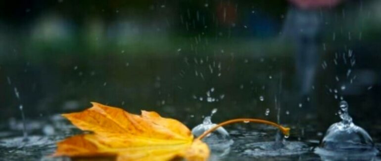 Дощ та ожеледиця: яку погоду очікувати закарпатцям у найближчі дні