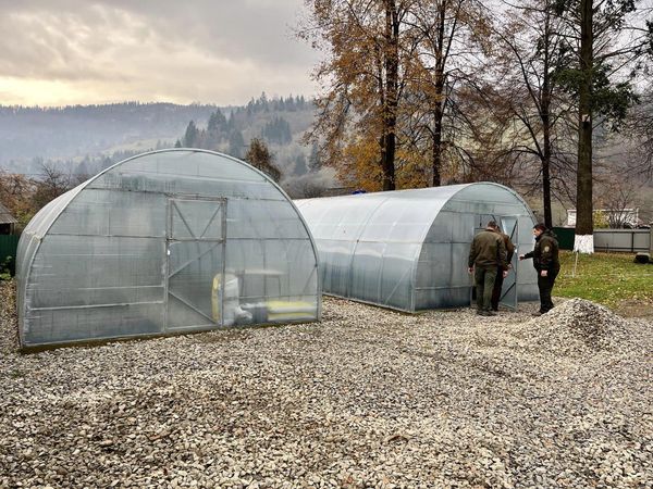 У Рахівському лісодослідному господарстві збудували теплиці для декоративних рослин