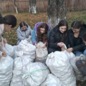 Більше 20 мішків яблук зібрали закарпатські школярі для ведмедів в реабілітаційному центрі