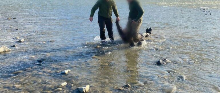 Під водою за кордон: на Закарпатті врятували батька із сином від “небезпечного перетину” (ФОТО)