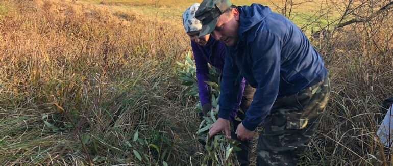 “Врятуй Долину нарцисів”: на Закарпатті науковці працюють задля збереження природних цінностей