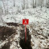 Розмінування Харківщини: працюють вибухотехніки Закарпаття (ФОТО)
