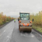 Майже 4 км дороги місцевого значення відремонтували на Берегівщині