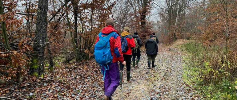 Закарпатця, якого кілька днів шукали в лісі, знайшли