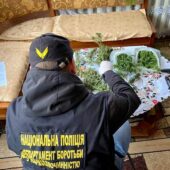 Жителя Мукачівщини викрили на наркозлочині: правоохоронці провели обшук за місцем проживання