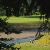 Від сміттєзвалища до ландшафтного заказника або ще на один крок ближче до спільної перемоги