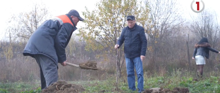 «Дерево життя»: газовики висадили на Перечинщині фруктовий сад (ВІДЕО)