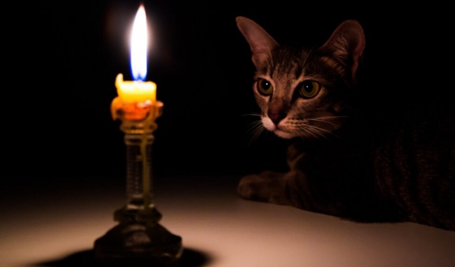 Погодинні графіки відключення електропостачання на Закарпатті на 8 листопада