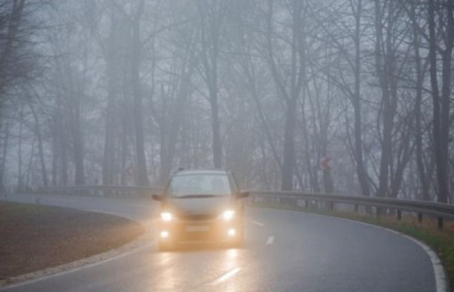 Закарпаття вкриє густий туман: водіїв попереджають про небезпеку