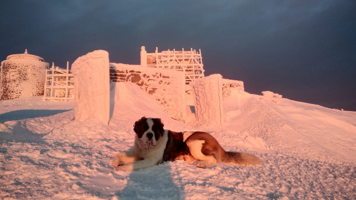 На Закарпатті у горах температура опустилася до -17°С