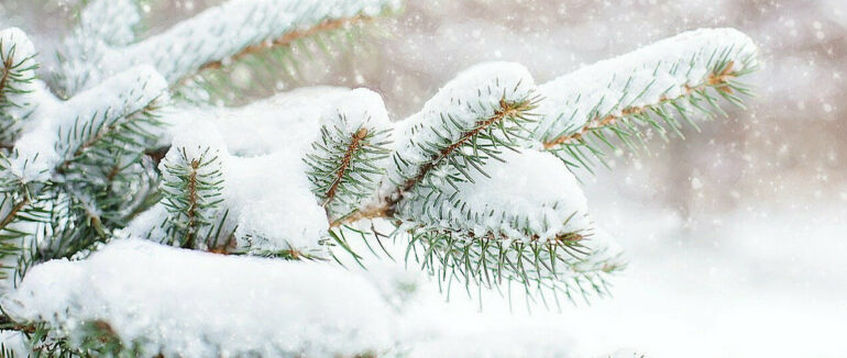 Якою буде погода найближчими днями