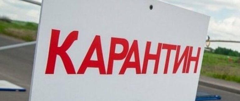 На Закарпатті у селі ввели двомісячний карантин