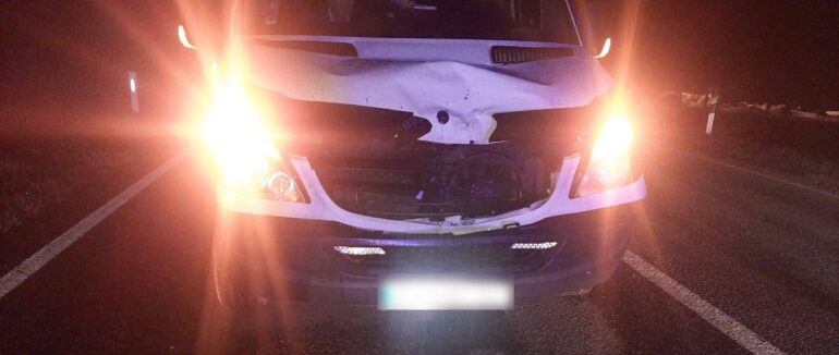 Смертельна ДТП у Берегівському районі: мікроавтобус на смерть збив пішохода