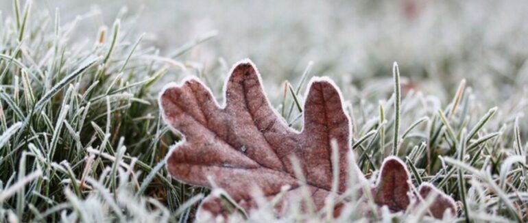 На Закарпатті прогнозують похолодання