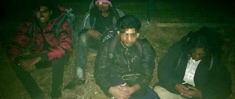 Поблизу кордону зі Словаччиною на Закарпатті затримали 4 нелегалів