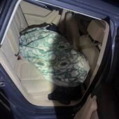 Сховала під ковдру: дівчина намагалась незаконно вивести “ухилянта” за кордон