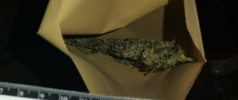 Жителя Тячівщини судитимуть за збут та зберігання канабісу