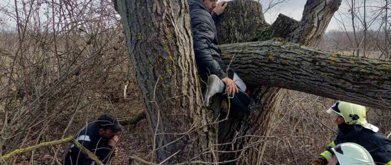 На Ужгородщині чоловіка придавило під час обрізання дерева