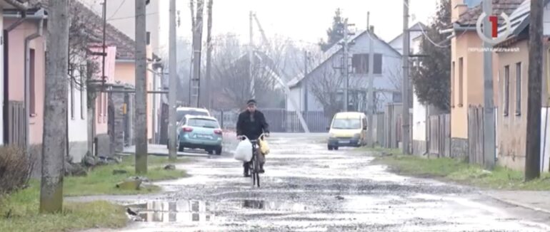 Із Виноградної у Болотну: мукачівці самі перейменували свою вулицю (ВІДЕО)