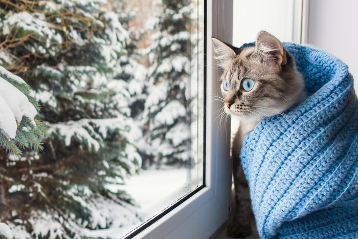 Похолодання прийде раніше, ніж прогнозували синоптики