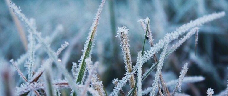 Очікується погіршення погодних умов: прогноз на 15 січня