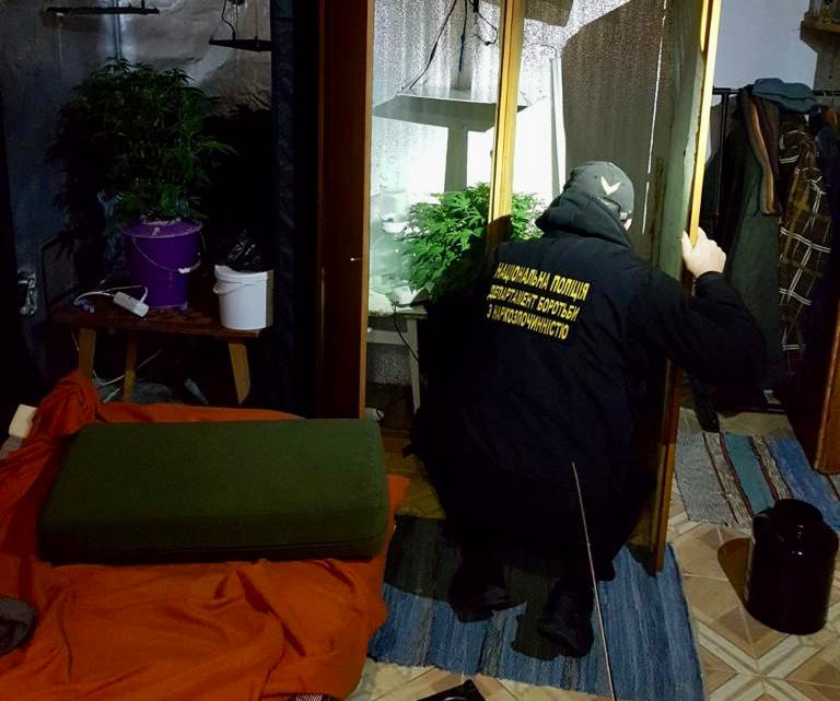 На Ужгородщині виявили мінілабораторію та майже 1 кг марихуани