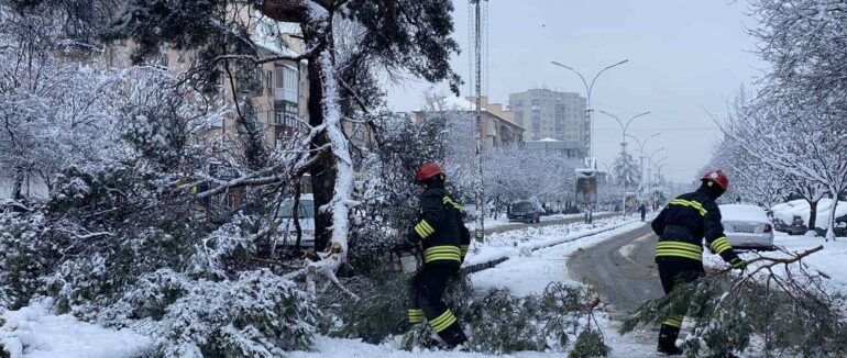 В Ужгороді через негоду зламалися дерева
