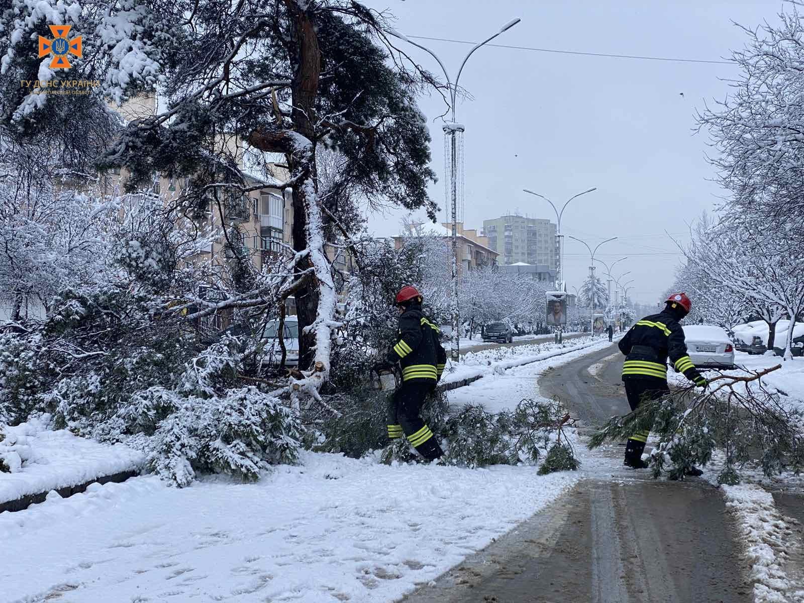 В Ужгороді через негоду зламалися дерева