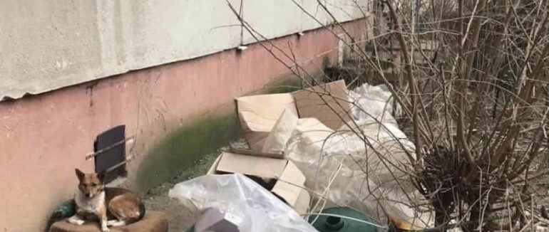 В одному з мікрорайонів Мукачева чоловік влаштував сміттєзвалище під вікном будинку