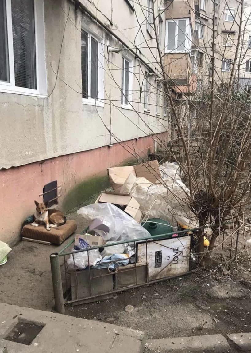 В одному з мікрорайонів Мукачева чоловік влаштував сміттєзвалище під вікном будинку